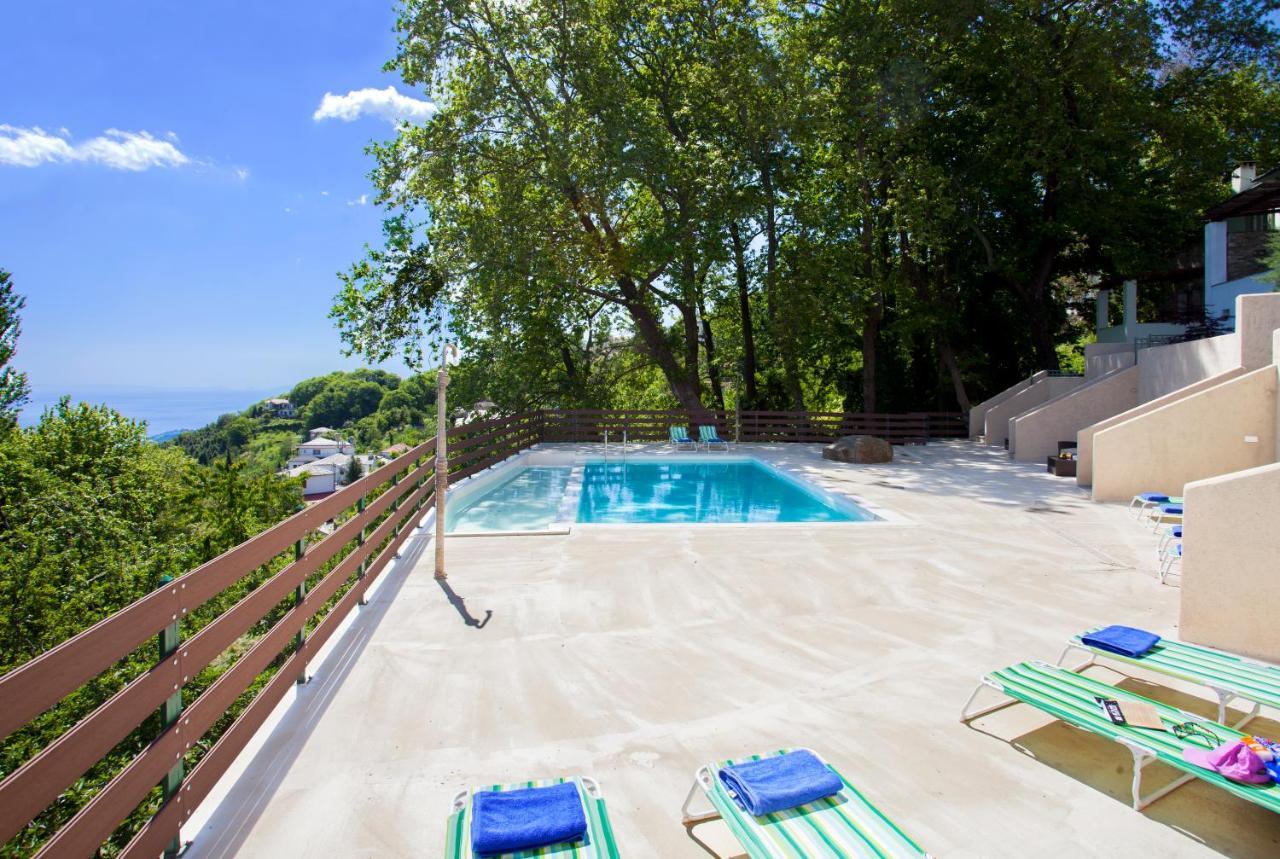 Luxury Villa At Pelion- Ruby Загора Экстерьер фото